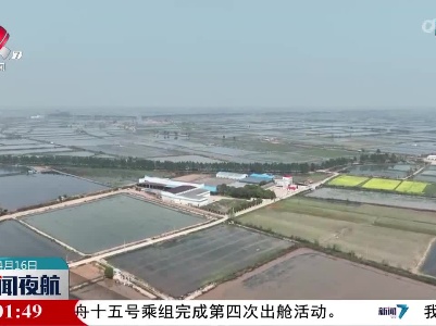 【“绿色”耕种】秸秆育秧 降塑壮苗