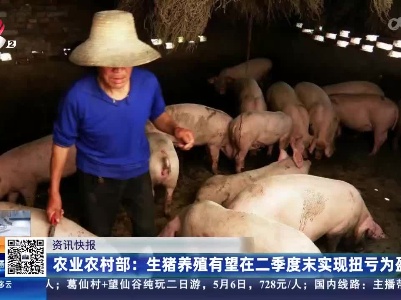 农业农村部：生猪养殖有望在二季度末实现扭亏为盈