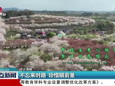 整点新闻20230405 12:00