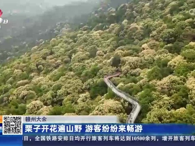 赣州大余：栗子花开遍山野 游客纷纷来畅游