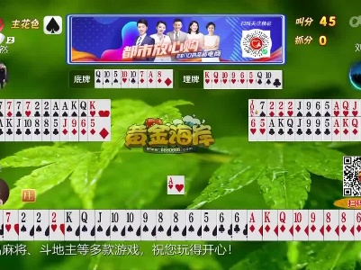 谁是赢家20230408