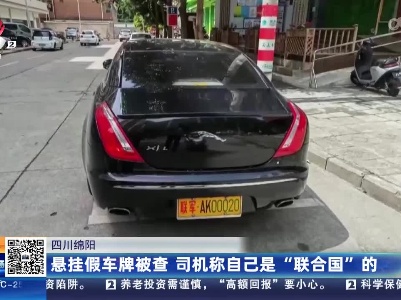 四川绵阳：悬挂假车牌被查 司机称自己是“联合国”的