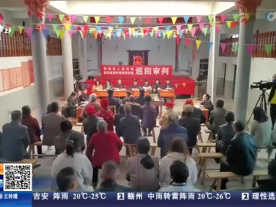 抚州南城：保护几只鸡 伤害一只鹰 农户法庭受审