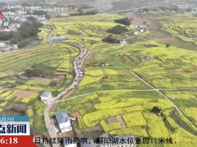 整点新闻20230407 14:00