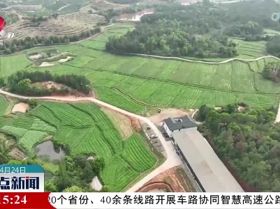 一株艾草的“吃干榨尽”