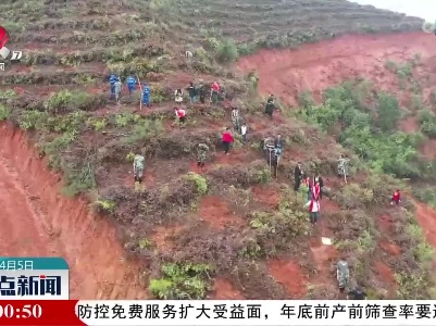 整点新闻20230405 16:00