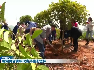 赣湘两省青年代表共植友谊林