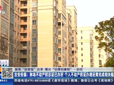 【聚焦“放管服”改革 曝光“怕慢假庸散”】后续·吉安安福：林场不动产权总证已办好 个人不动产权证办理还需完成相关程序