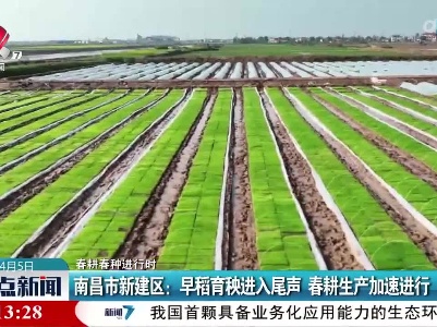 【春耕春种进行时】南昌市新建区：早稻育秧进入尾声 春耕生产加速进行