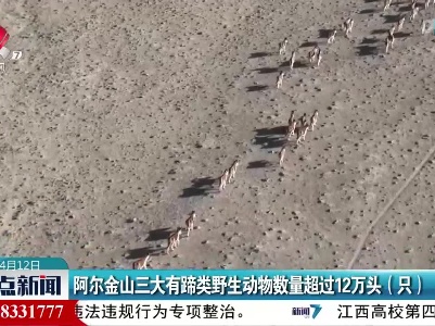 阿尔金山三大有蹄类野生动物数量超过12万头（只）