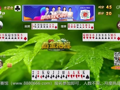 谁是赢家20230410