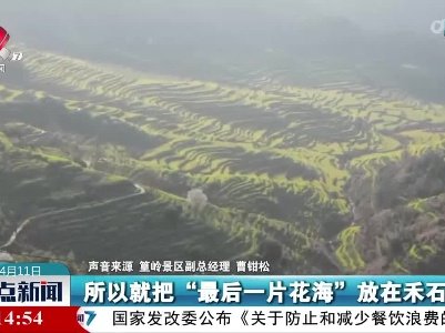 【“一朵花”的能量有多大？】种出好风景 闯出好前景