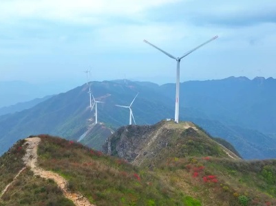 江西万安：最惜杜鹃花烂漫  游人连叹满山红