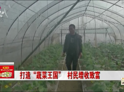 宜春：打造“蔬菜王国” 村民增收致富