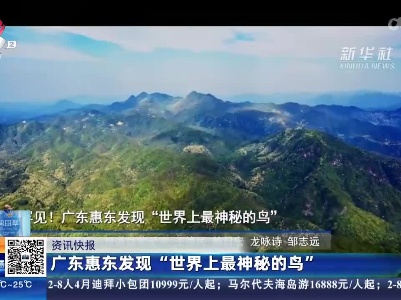 广东惠东发现“世界上最神秘的鸟”