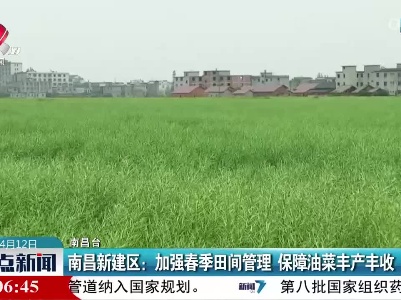 整点新闻20230412 16:00