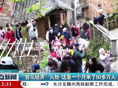 【“一朵花”的能量有多大？】“赏花经济”火热 这里一个月来了50多万人