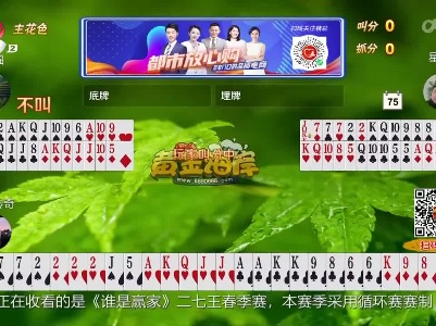 谁是赢家20230409