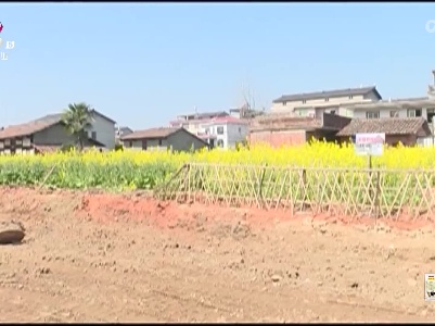 新闻晚高峰20230409
