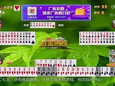 谁是赢家20230424