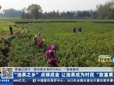 都市现场20230417