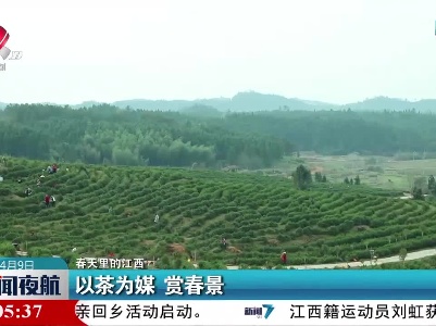 【春天里的江西】以茶为媒 赏春景