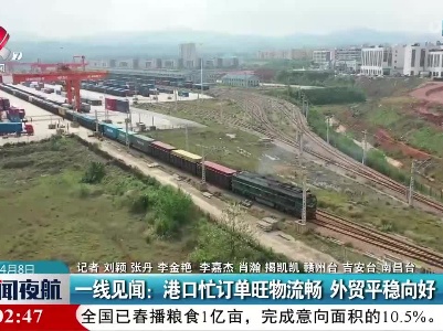 一线见闻：港口忙订单旺物流畅 外贸平稳向好