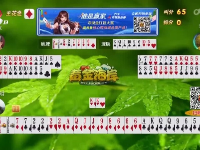 谁是赢家20230402