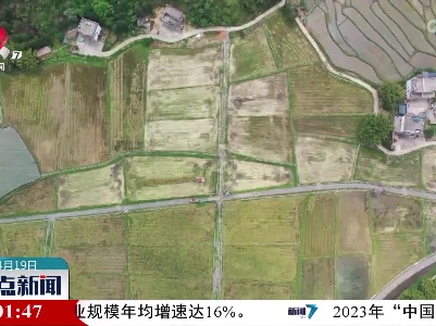 整点新闻20230419 16:00