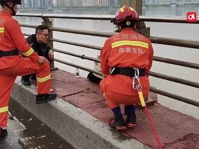 南昌大桥上惊险一幕 民警消防飞身“跨栏”救下轻生女子