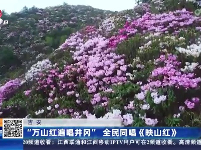 吉安：“万山红遍唱井冈” 全民同唱《映山红》