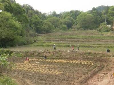 新闻晚高峰20230419