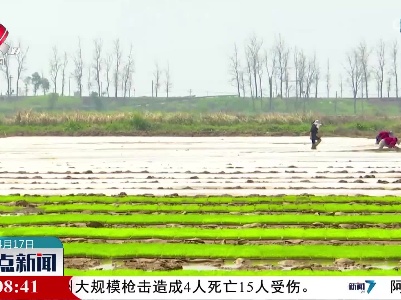 整点新闻20230417 12:00