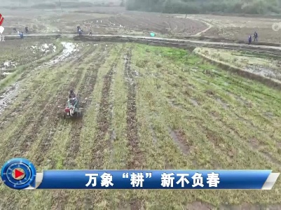 社会传真20230410 万象“耕”新不负春