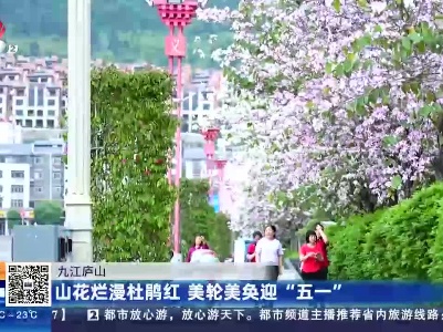 九江庐山：山花烂漫杜鹃红 美轮美奂迎“五一”