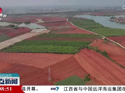 整点新闻20230426 12:00