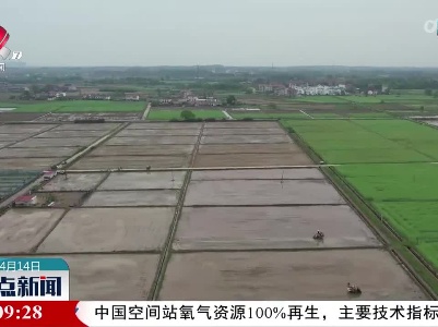 整点新闻20230414 12:00