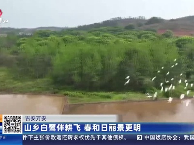 都市现场20230421