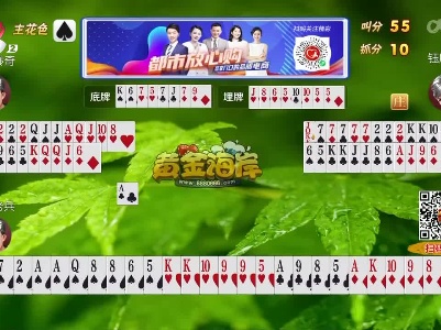 谁是赢家20230426
