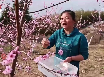 饱览春光美景 尽享春之馈赠