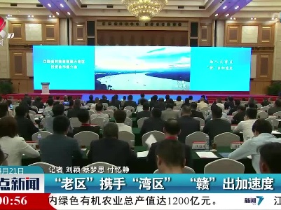 “老区”携手“湾区” “赣”出加速度
