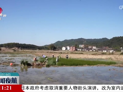 新闻夜航20230419