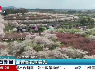 踏青赏花享春光
