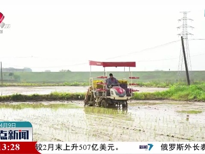 乐平：春耕正当时 插秧农事忙