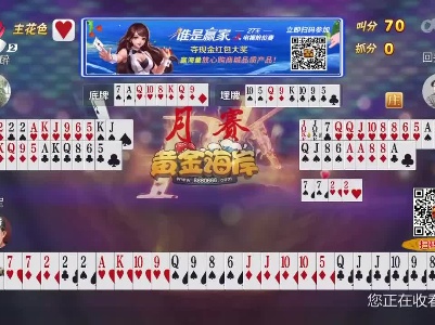 谁是赢家20230427