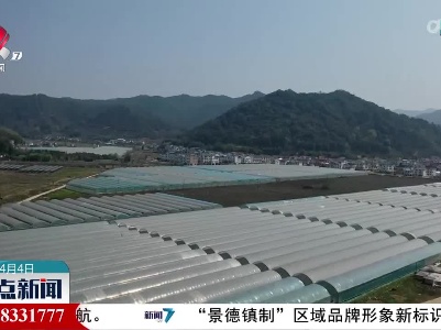 赣州：对接粤港澳大湾区 打造高品质菜篮子