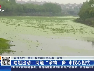 都市现场·午间版20230411