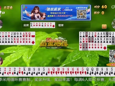 谁是赢家20230414