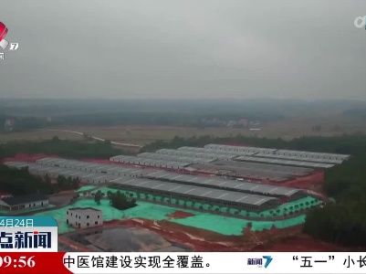 整点新闻20230424 12:00