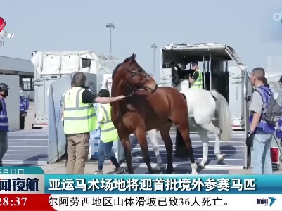 亚运马术场地将迎首批境外参赛马匹